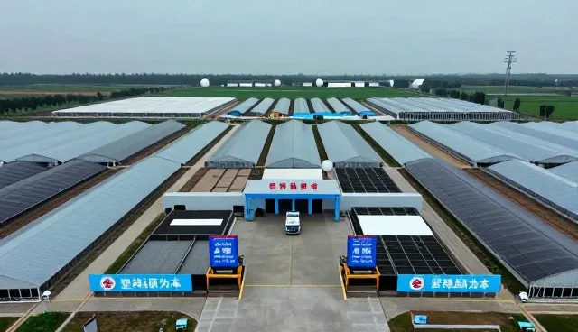 防水材料使用与维护中的关键性能考量